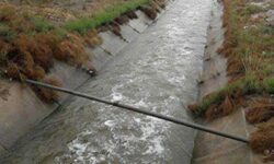 غرق شدن ۵ نفر در دشتستان