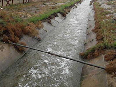 غرق شدن ۵ نفر در دشتستان