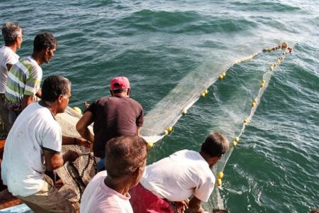 آغاز صید میگو در سواحل خلیج‌فارس استان بوشهر از ۷ مرداد ماه