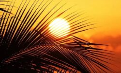 موج جدید گرمای بی‌سابقه در راه ایران؛ سناریوی پنج‌روزه هوا برای تابستان ! |‌ رگبار باران در ۳ استان