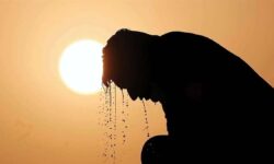 هشدار گرمازدگی به ۹ استان سردسیر | بی‌هنجاری شدید دما در این استان‌ها