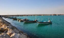 میزان رطوبت شهرهای ساحلی استان بوشهر به بالای ۷۰ درصد رسید