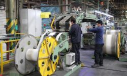 ۳۹ فقره جواز تأسیس صنعتی در دشتستان صادر شد