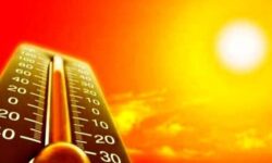 افزایش رطوبت و شرجی در استان بوشهر