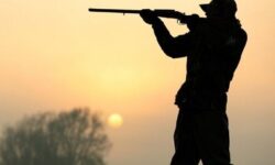 شکارچیان متخلف در منطقه حفاظت‌شده استان بوشهر دستگیر شدند