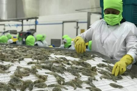 صادرات ۲۱ هزار تن آبزیان بوشهر به ۱۸ کشور اروپایی و آسیایی