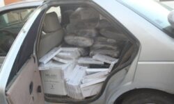 کشف ۱۸۵ کیلوگرم تریاک در دشتستان