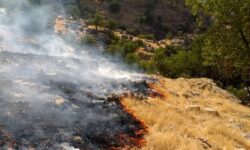 مهار آتش‌سوزی مراتع منطقه گیسکان دشتستان پس از ۵ روز