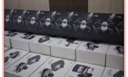 کشف ریزپرنده‌های قاچاق در بوشهر