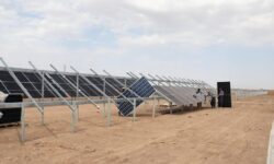 ۵۸۰ هکتار اراضی ملی برای ساخت نیروگاه خورشیدی در دشتی بوشهر واگذار شد