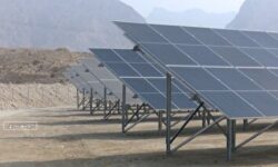 بهره برداری از ۶۰ مگاوات نیروگاه خورشیدی در استان بوشهر