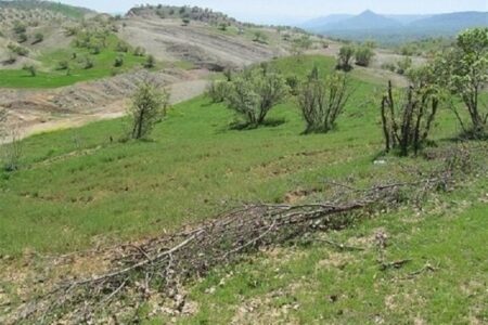 واگذاری قسطی ۱۵هکتار اراضی ملی شمیرانات به‌قیمت ۱۵میلیون تومان