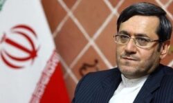 عضو کمیسیون امنیت ملی مجلس: در جنگ سوریه و افغانستان چنین تلاطمی در قیمت‌ها نبود/ فقط در ایران با سرفه طرف مقابل قیمت ارز و طلا بالا می‌رود