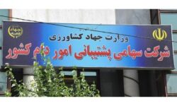 رونمایی از بزرگ‌ترین ارز بگیران دولتی/ شرکت پیشتیبانی امور دام چقدر ارز دولتی گرفت؟