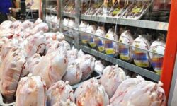 فنر قیمت مرغ با ارز دولتی پرید / ارز‌ها کجا رفتند؟