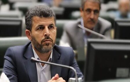 ۵ بانک ناتراز دیگر هم باید ادغام یا منحل شوند/تصمیم ادغام بانک آینده درست بود