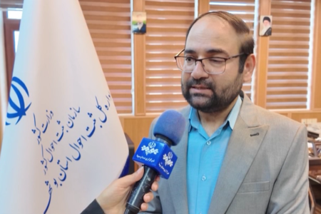 کاهش ۶.۵ درصدی ولادت در استان بوشهر