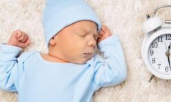 نام های محبوب بوشهریها