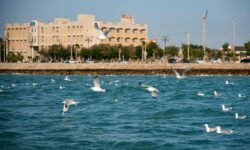 پیشبینی کاهش دما برای استان بوشهر