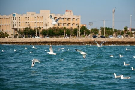 پیش‌بینی کاهش دما برای استان بوشهر