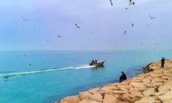 پیش‌بینی هوای غالبا آرام و بروز مه صبحگاهی در استان بوشهر تا روز یکشنبه