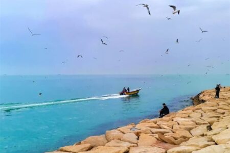 پیش‌بینی هوای غالبا آرام و بروز مه صبحگاهی در استان بوشهر تا روز یکشنبه