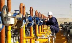 مصرف ۱۳ میلیارد مترمکعب گاز در استان بوشهر