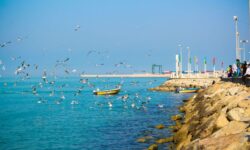 پیشبینی وضعیت جوی پایدار برای بوشهر