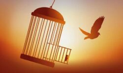 آزادی ۲۰ زندانی جرائم مالی با کمک کارمندان یک بانک