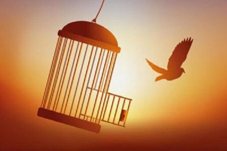 آزادی ۲۰ زندانی جرائم مالی با کمک کارمندان یک بانک