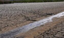 سال‌های خشکِ کم باران بوشهر/ با ته‌مانده منابع آبی چه باید کرد؟