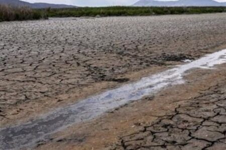 سال‌های خشکِ کم باران بوشهر/ با ته‌مانده منابع آبی چه باید کرد؟