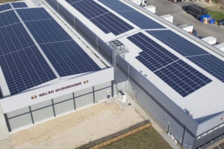 ۲۰۰ مگاوات نیروگاه خورشیدی استان بوشهر تا تابستان آینده وارد مدار می‌شود