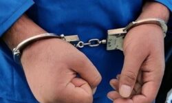 باند سرقت طلاجات زنان کهنسال در دشتستان متلاشی شد