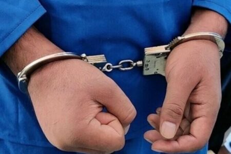 باند سرقت طلاجات زنان کهنسال در دشتستان متلاشی شد