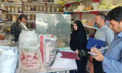 نظارت بازرسان از واحدهای صنفی دشتستان تشدید شد