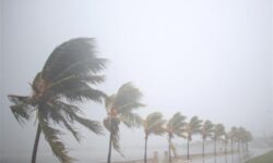 وزش باد نسبتا شدید تا شدید جنوبی و تندبادهای لحظه ای از امروز