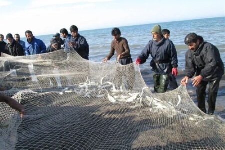 توقیف ۱۷ شناور متخلف صید غیرمجاز آبزیان در آب‌های ساحلی تنگستان