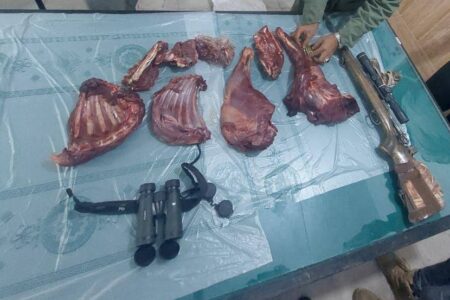 دستگیری شکارچی غیرمجاز در منطقه بوشکان دشتستان