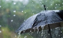 اولین سامانه بارشی پاییزی از دوشنبه وارد استان بوشهر میشود