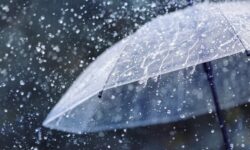 فعالیت سامانه بارشی در سطح استان بوشهر تداوم دارد