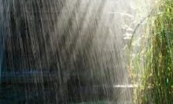 آماده‌باش کامل استان بوشهر در برابر سامانه بارشی هفته جاری