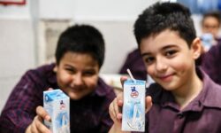 آغاز توزیع شیر در مدارس استان از امروز دوم دی ماه